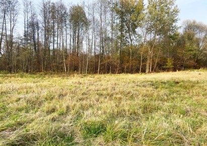 działka na sprzedaż - Katowice, Kostuchna